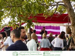 Festival Mar de Tethys 2026 - Bodega Vetas